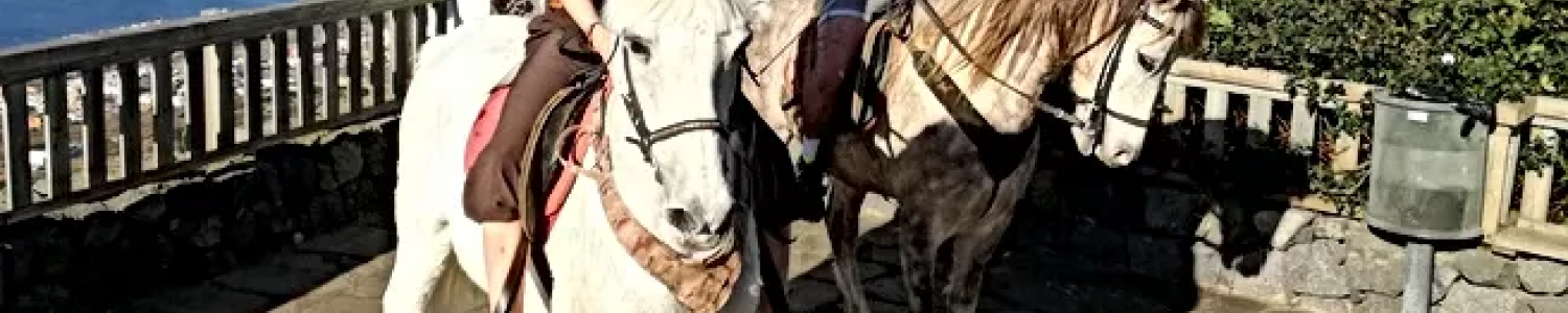 Rutas a caballo Mamio Verde